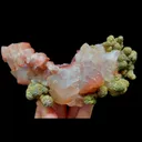 specimen video