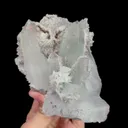 specimen video