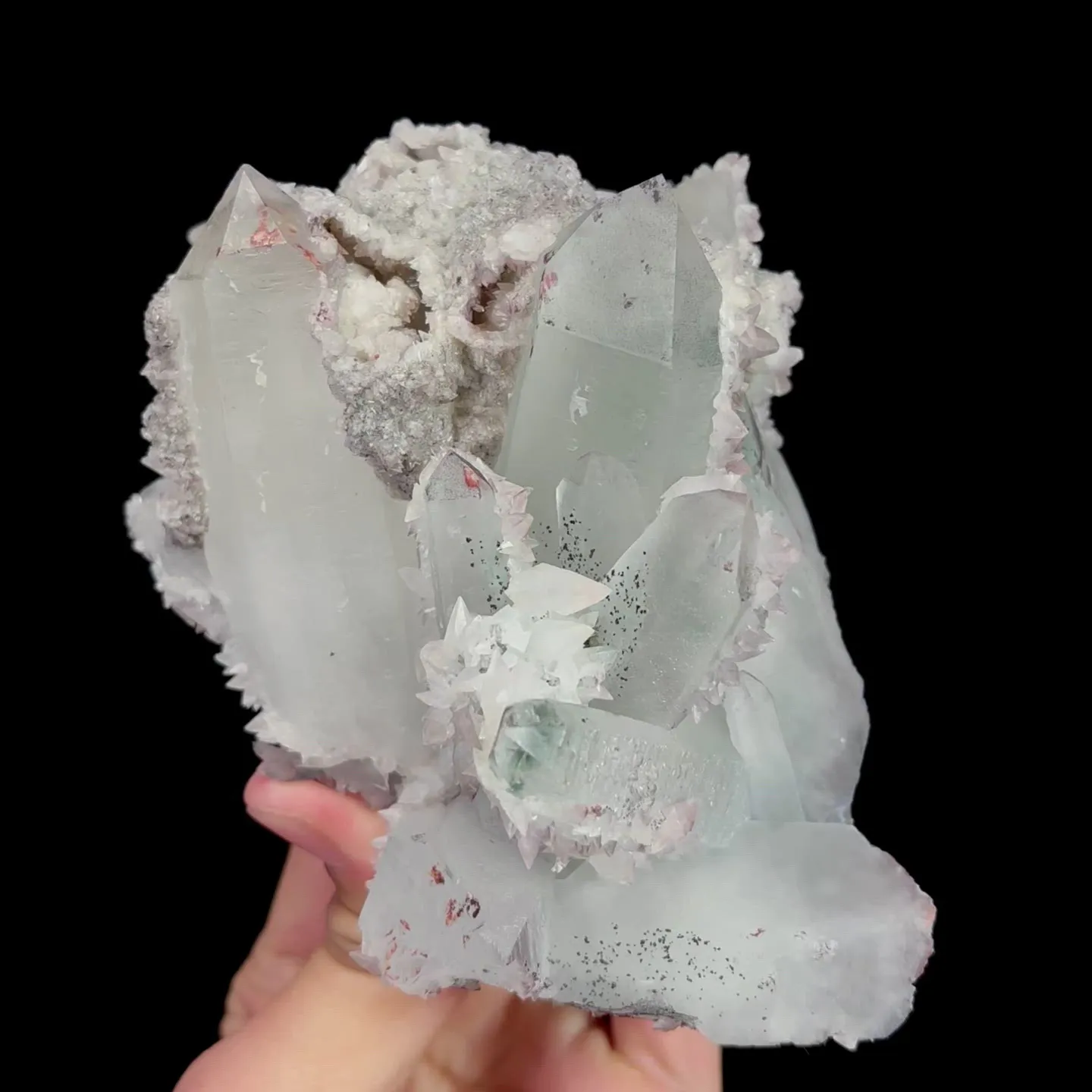 specimen video