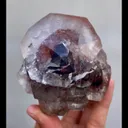 specimen video