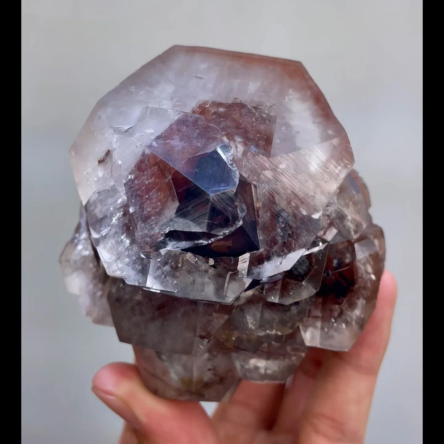 specimen video