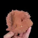Natural Red Calcite, Mineral Specimen: Daye,Hubei (85*55*65MM) - image 4