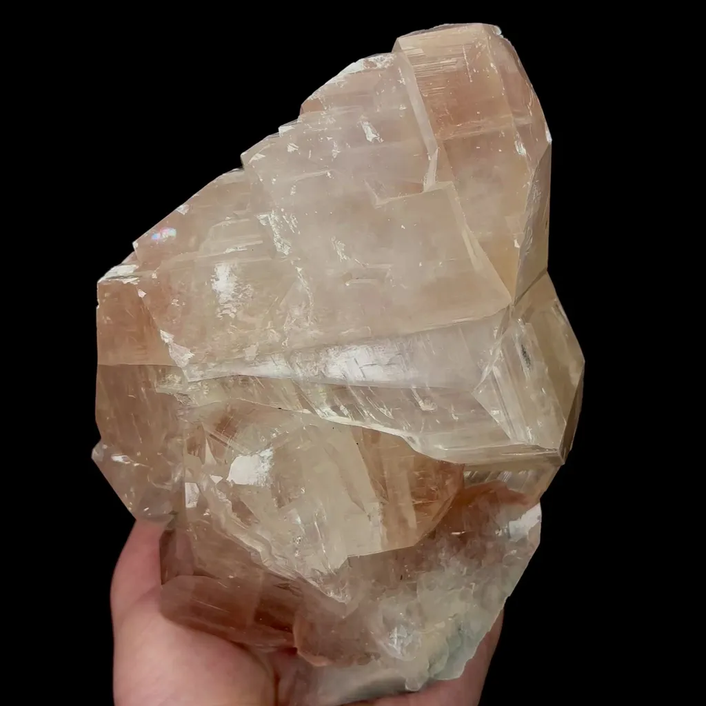 specimen video