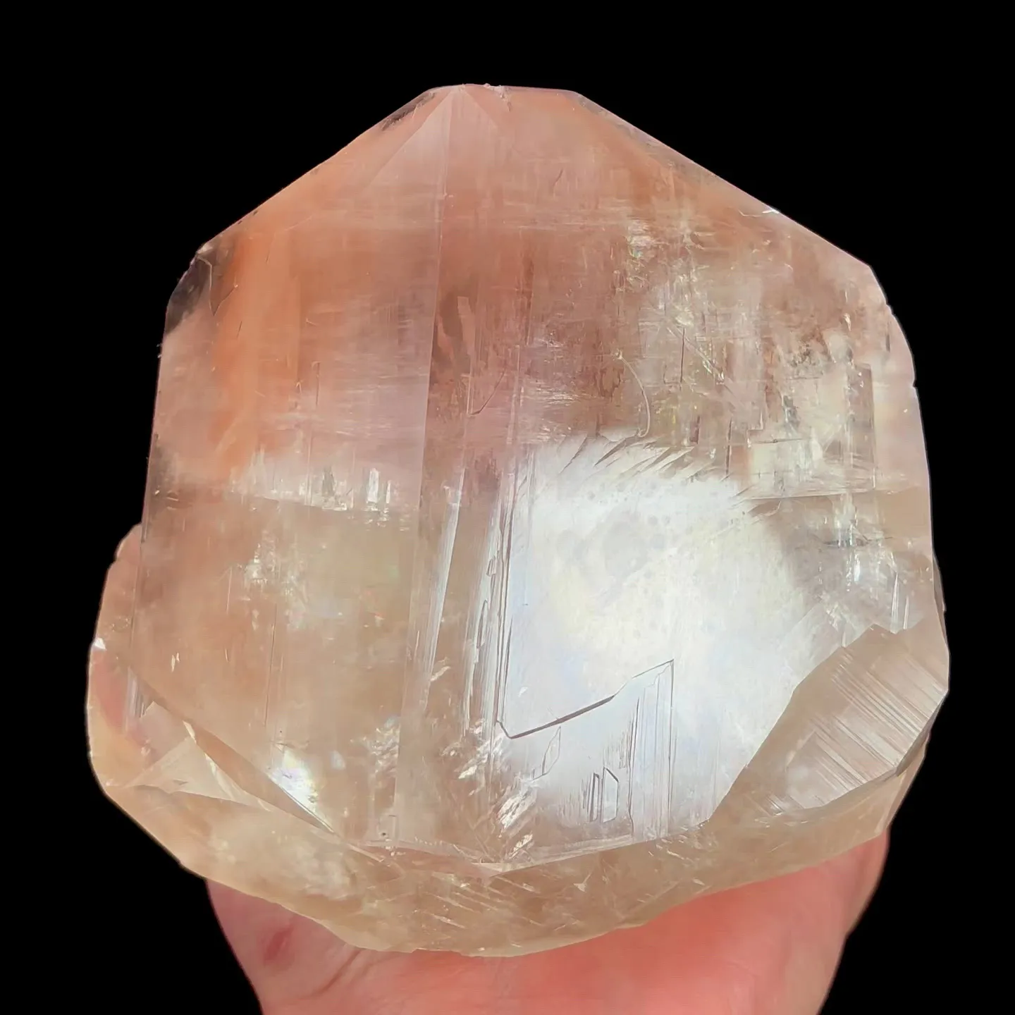 specimen video