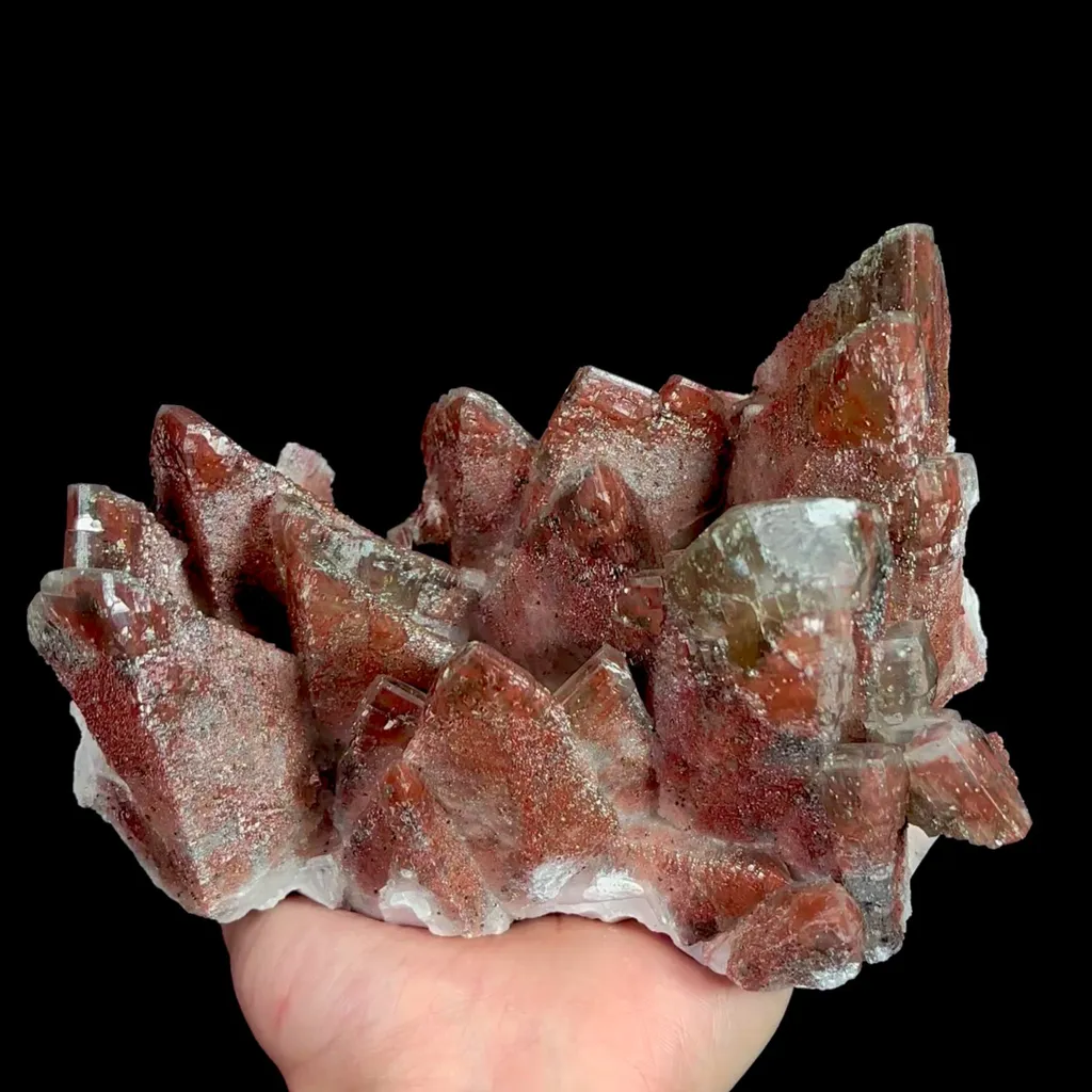 specimen video