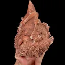 specimen video