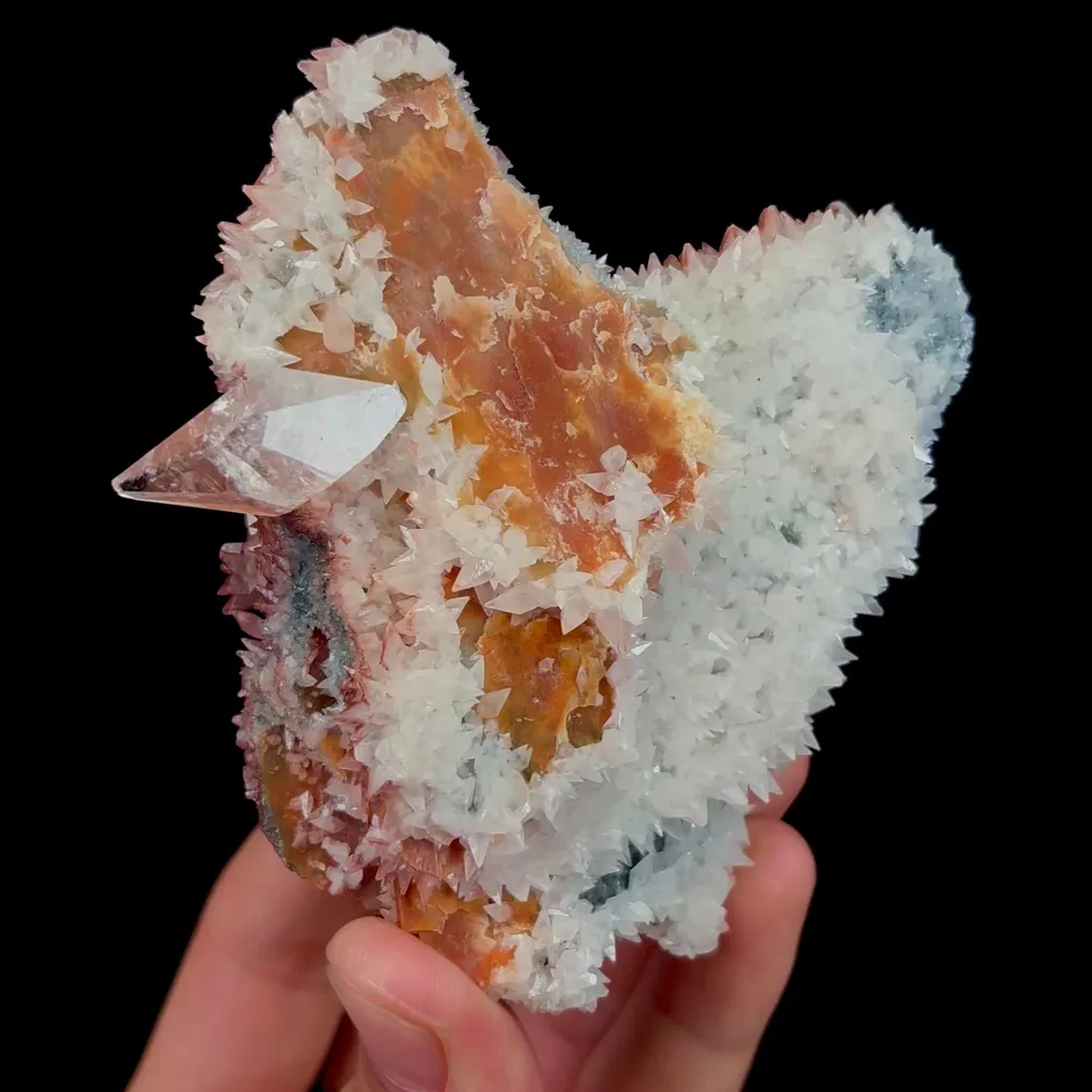 specimen video