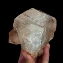 specimen video