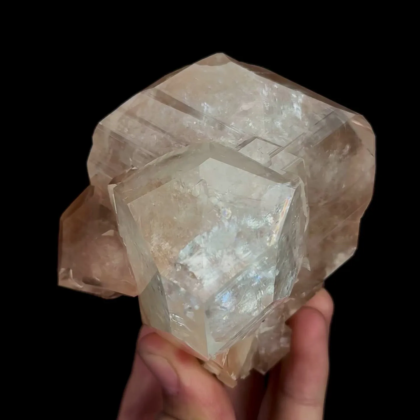 specimen video