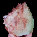 specimen video