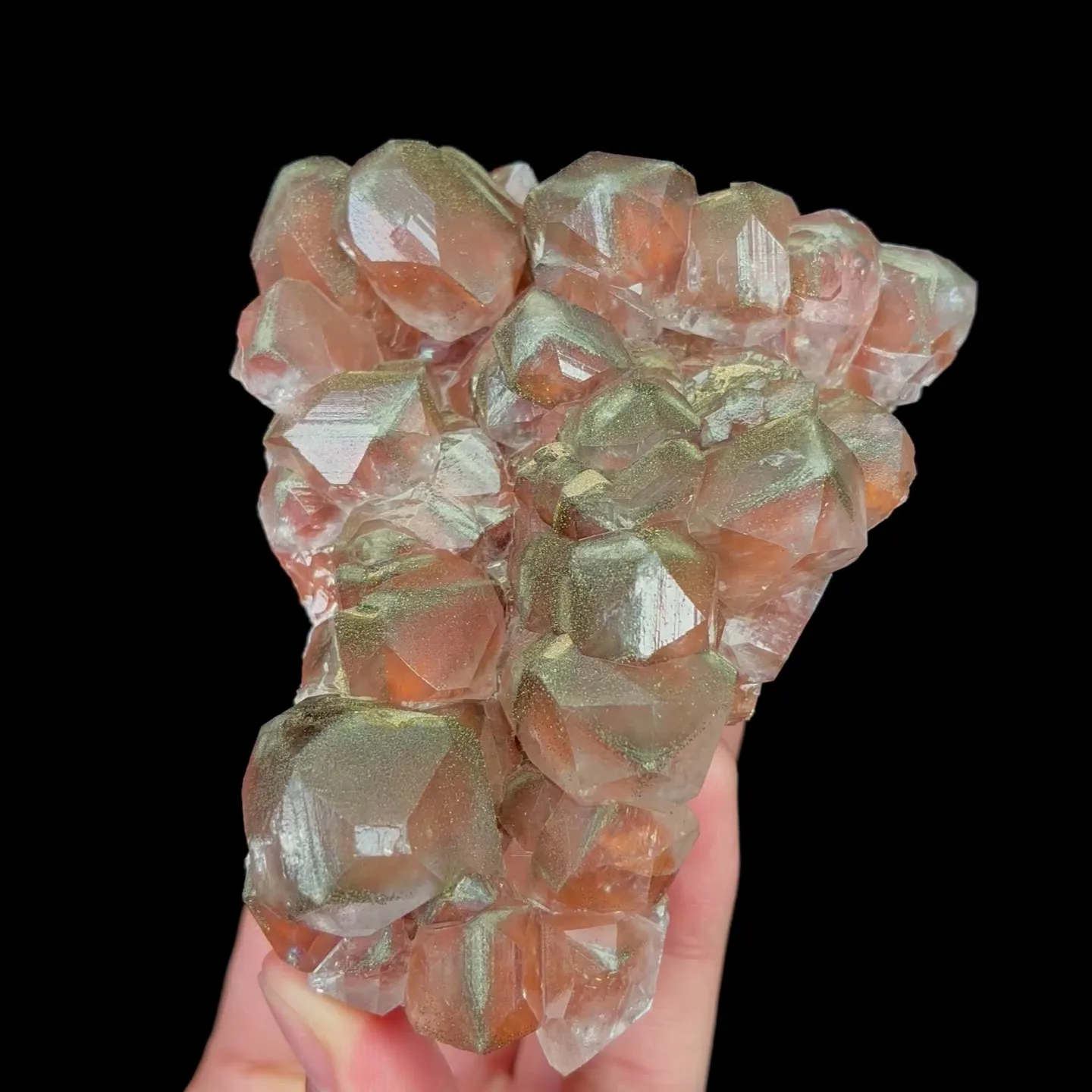 specimen video