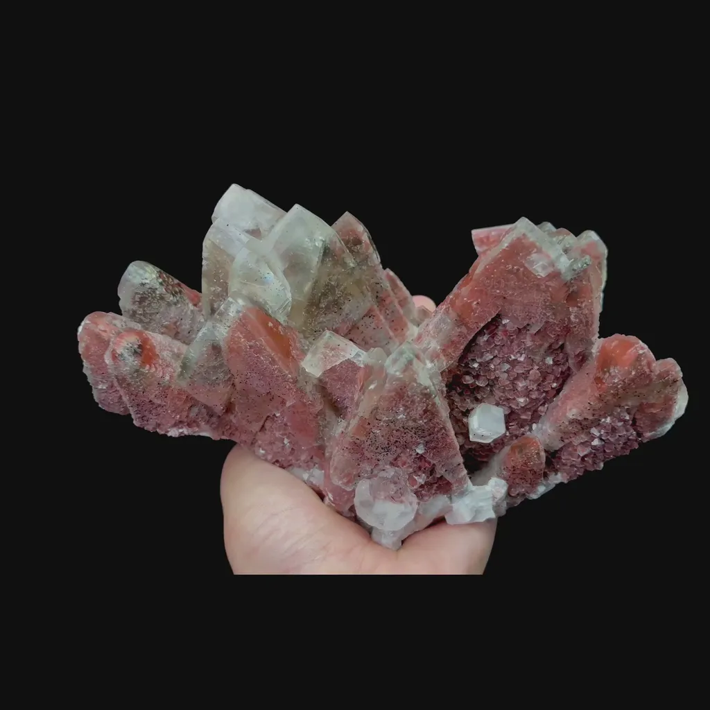 specimen video