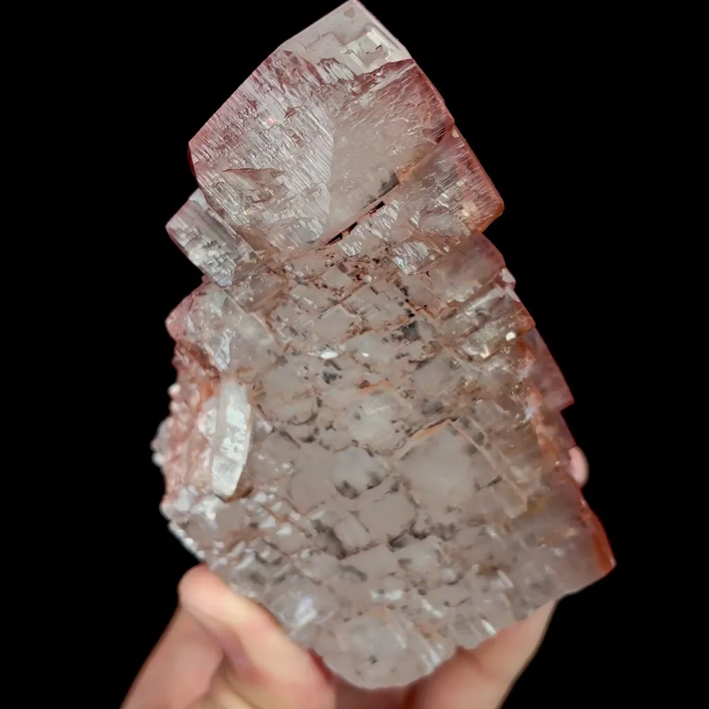 specimen video