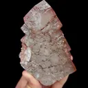 specimen video