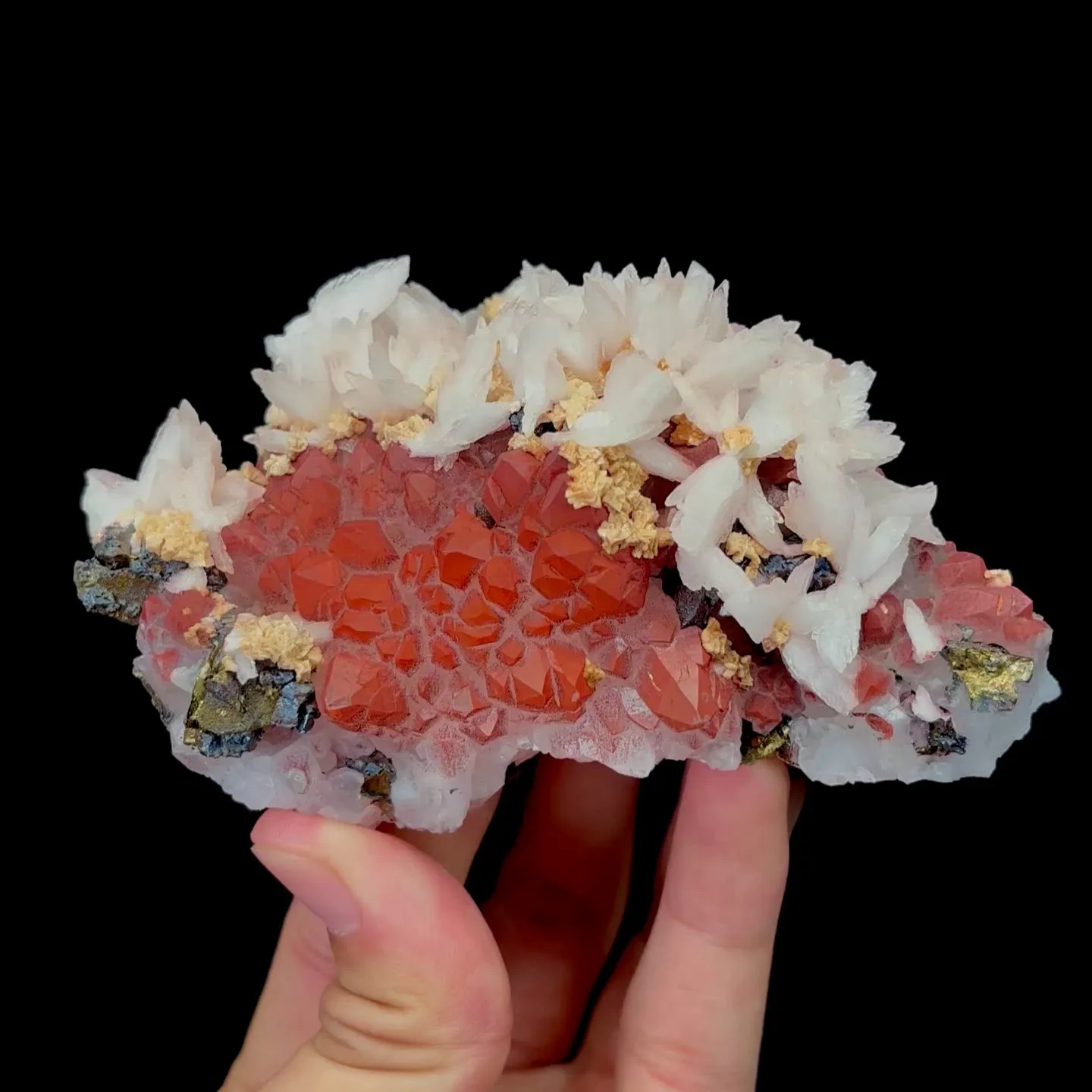 specimen video