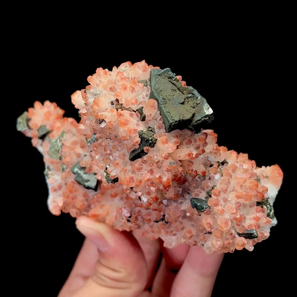 specimen video