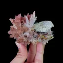 Natural Red Gypsum, Mineral Specimen: Guizhou,China (95*60*50MM) - image 7