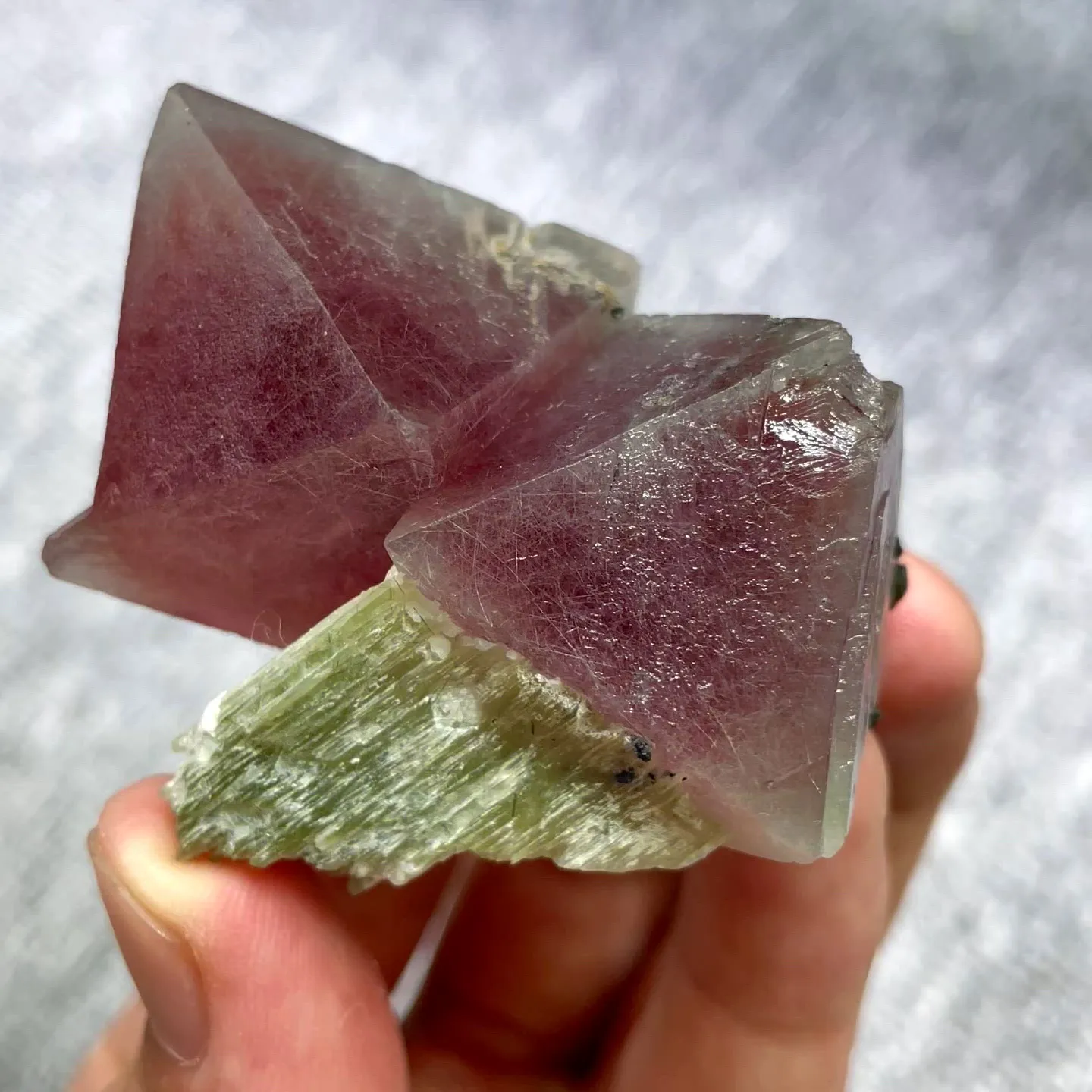 specimen video