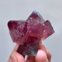 specimen video