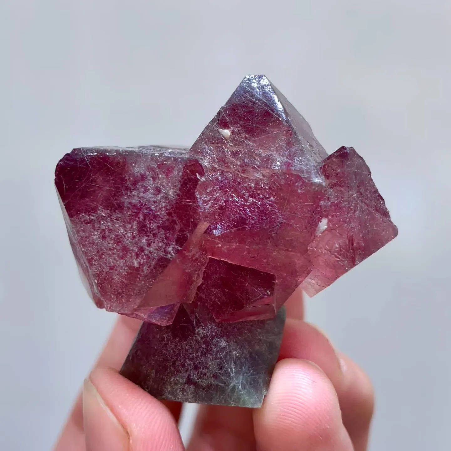 specimen video