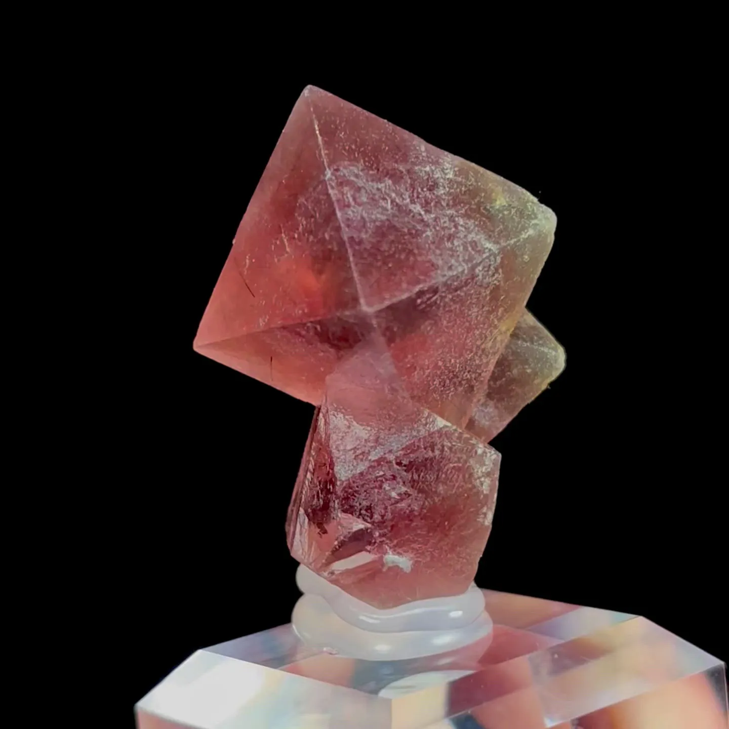 specimen video