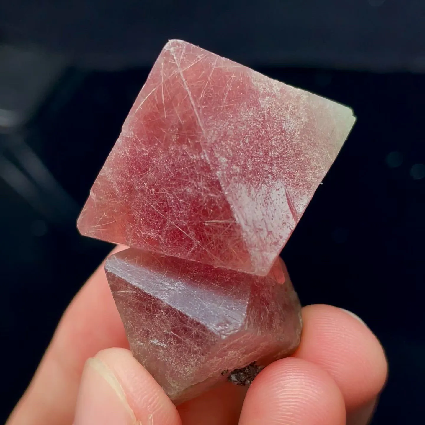 specimen video