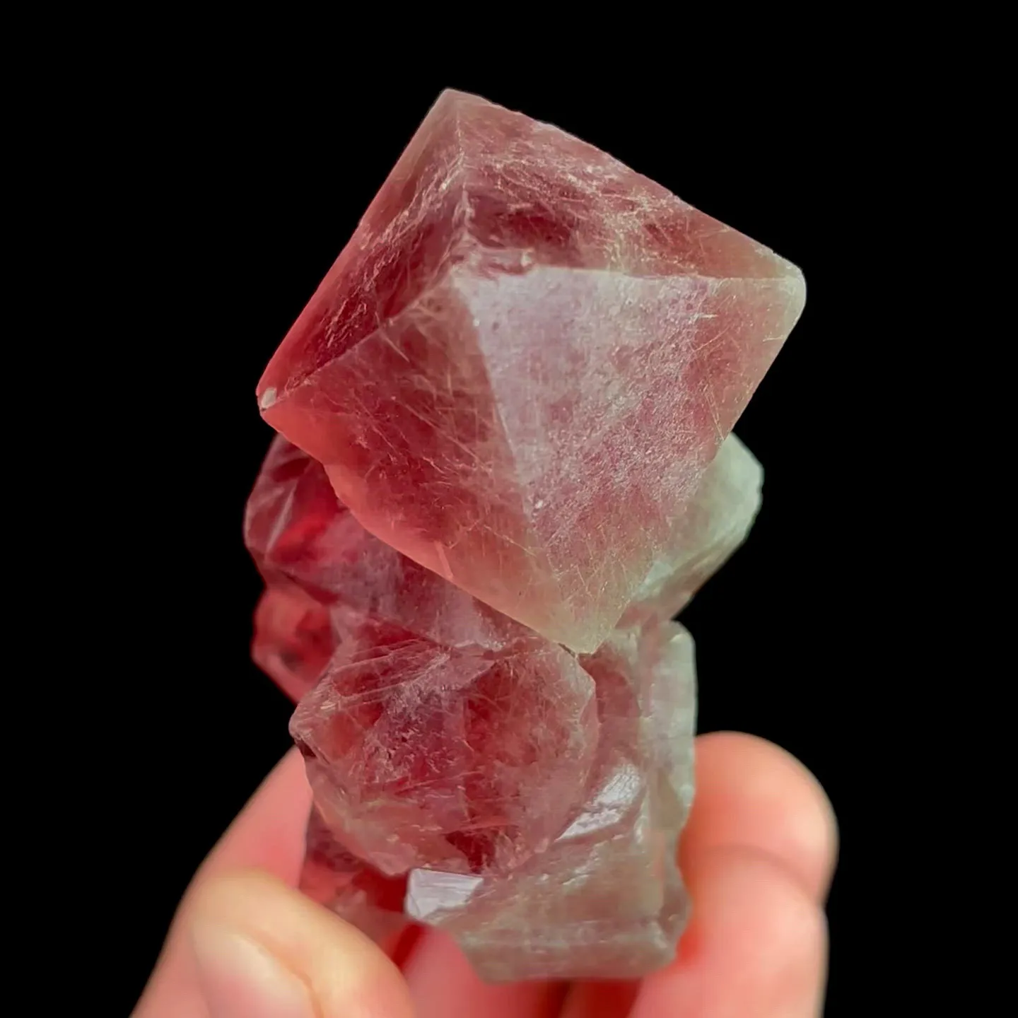specimen video