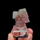 specimen video