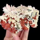 Natural Red Quartz and Dolomite, Mineral Specimen:Daye,Hubei (120*70*35MM) - image 3