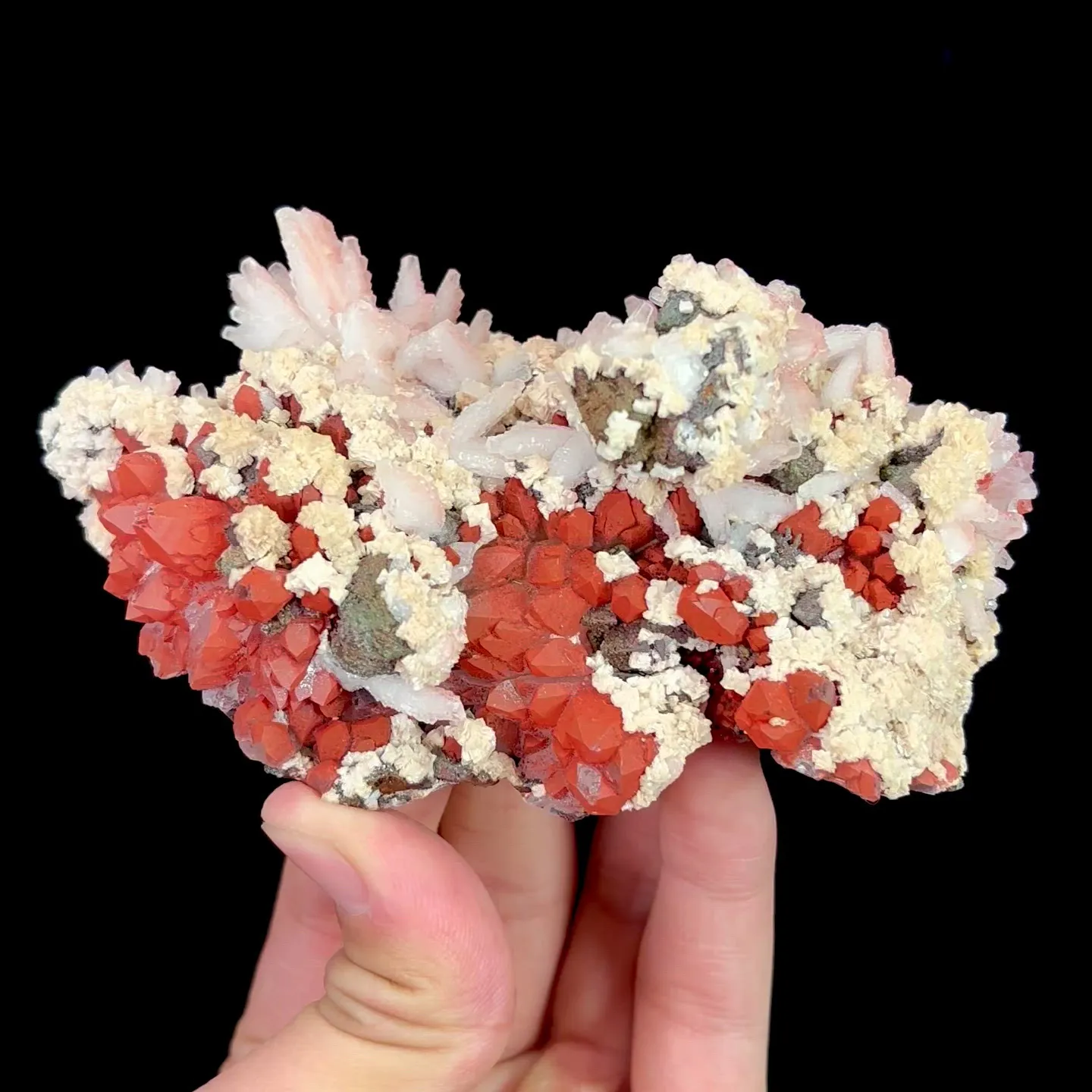 specimen video