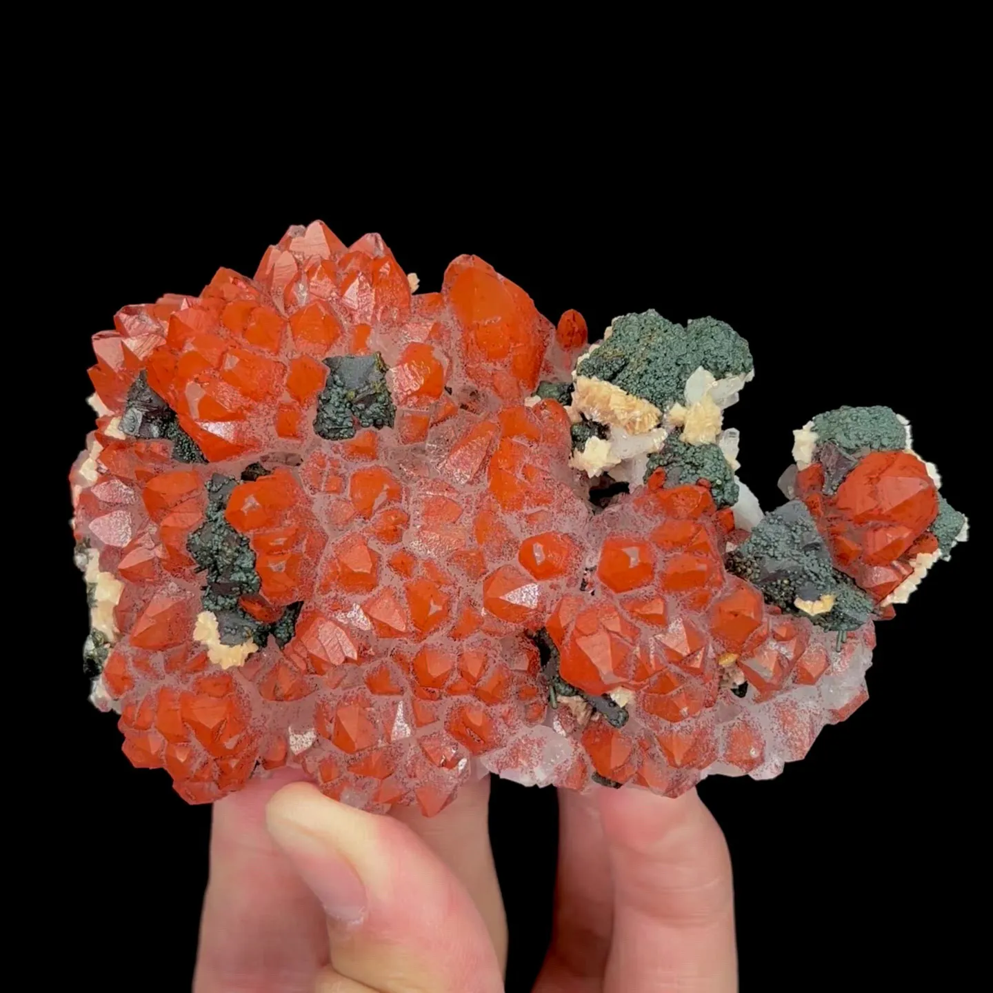 specimen video