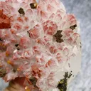 Natural Red Quartz and Scheelite Symbiosis comes from Jiangxi,China 90*75*35MM - image 3