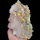 specimen video