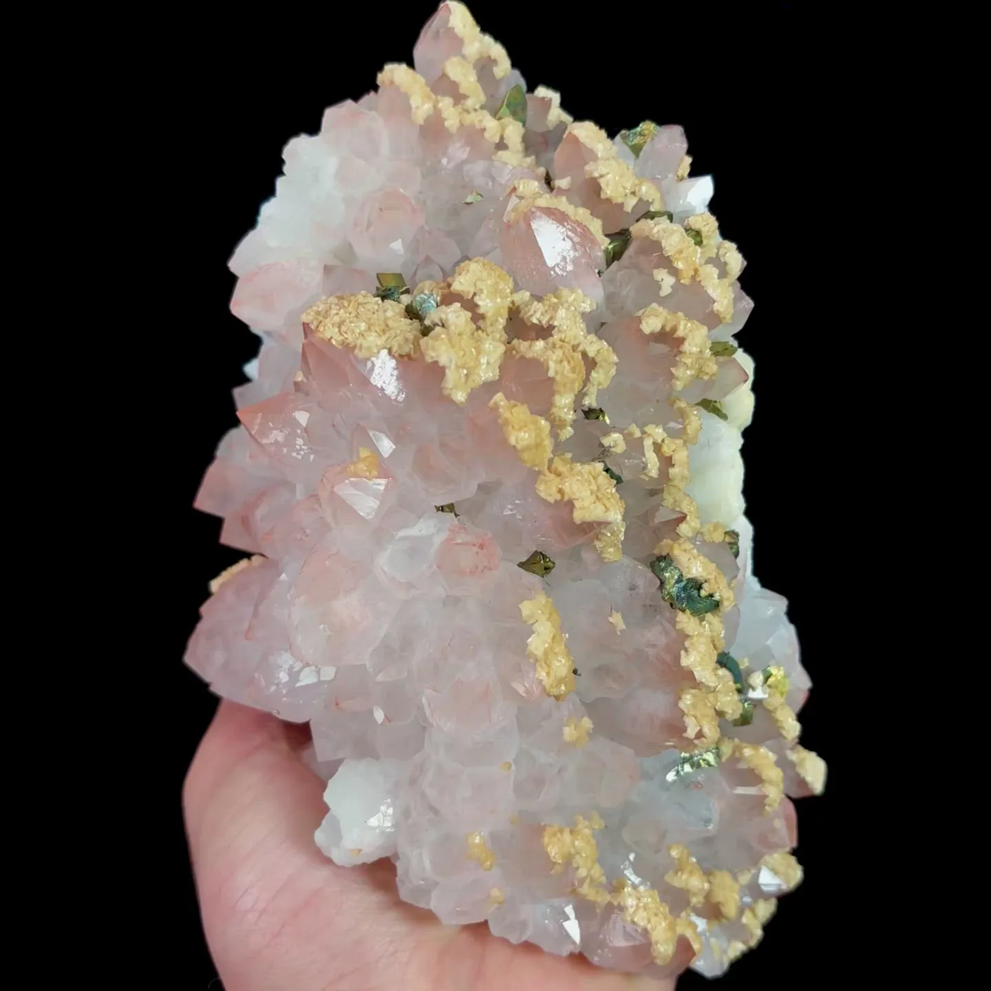 specimen video