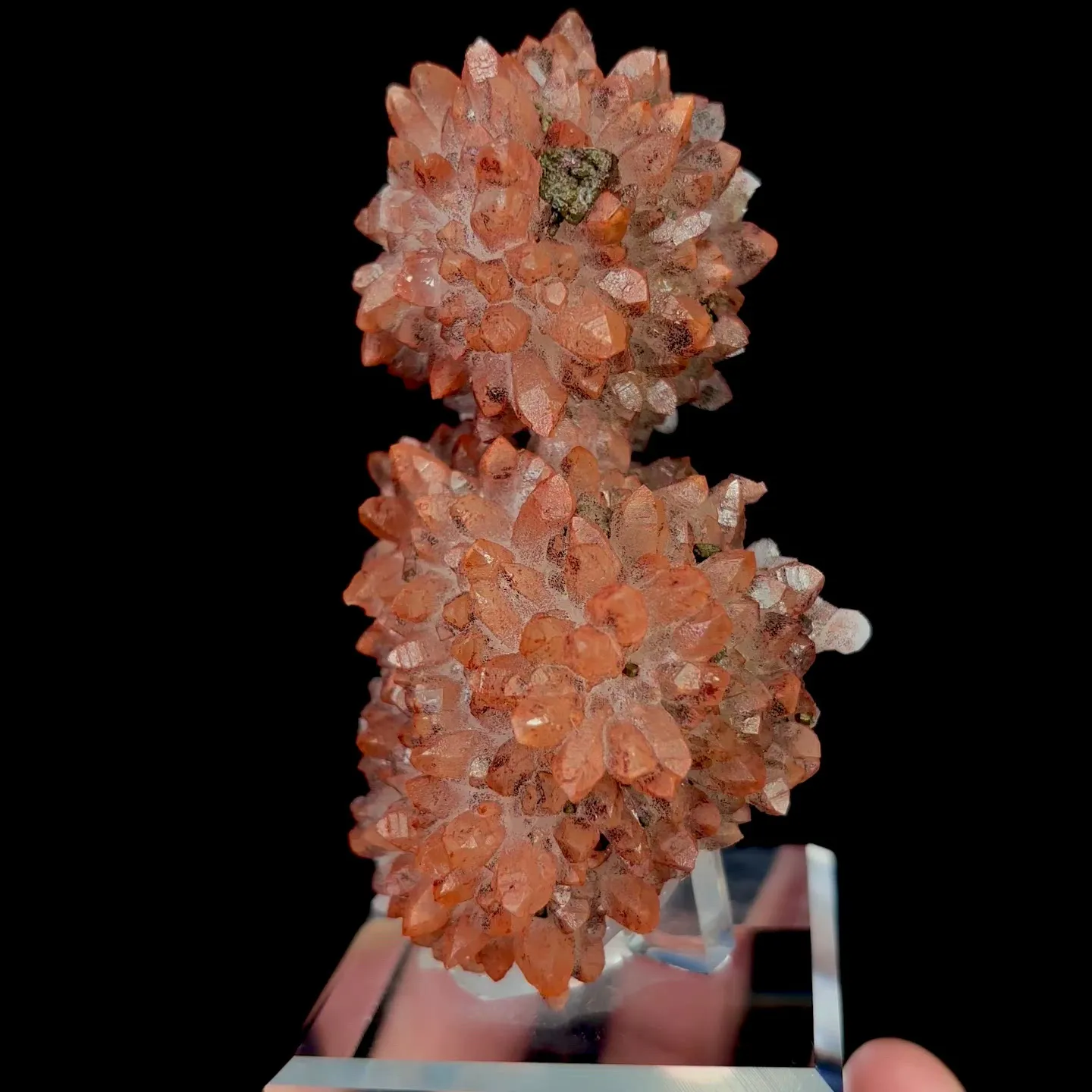 specimen video