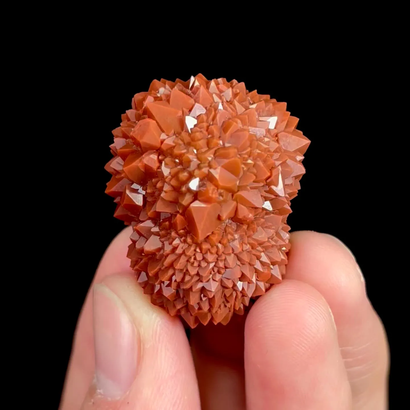 specimen video