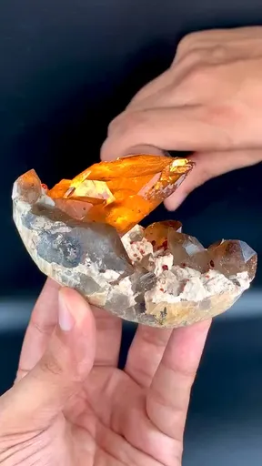 specimen video