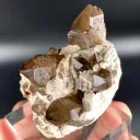 Natural Red Spessartine Garnet in Smoky Quartz on Albite Matrix from China - image 6