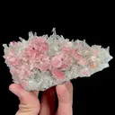 Natural Rhodochrosite and Clear Quartz Cluster, Mineral Specimen:Guangxi,China (125*65*45MM) - image 6