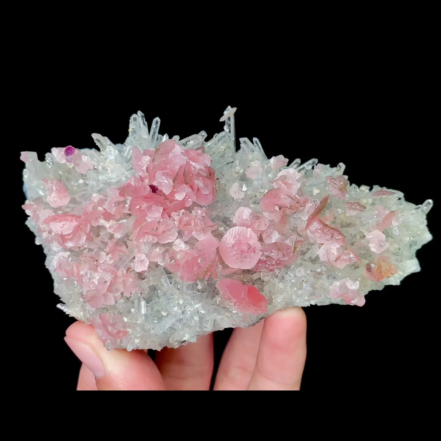specimen video