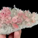 Natural Rhodochrosite and Clear Quartz Cluster, Mineral Specimen:Guangxi,China (125*65*45MM) - image 5