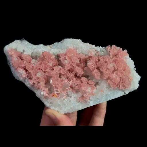 specimen video