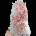 Natural Rhodochrosite and Clear Quartz Cluster, Mineral Specimen:Guangxi,China (170*130*40MM) - image 3