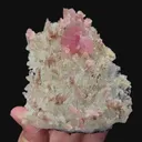 specimen video