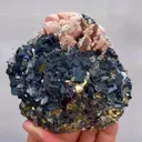 specimen video