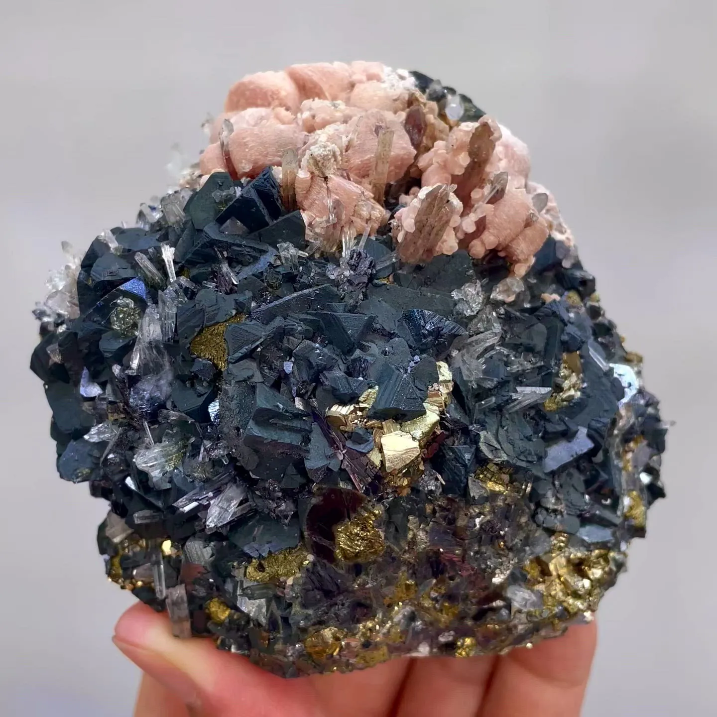 specimen video
