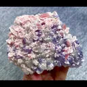 specimen video