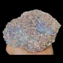 Natural Rhodochrosite and Purple Fluorite, Mineral Specimen:Guangxi,China (120*95*55MM) - image 5