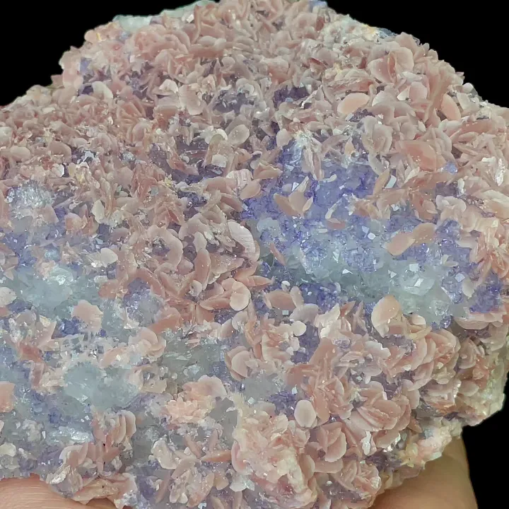 Natural Rhodochrosite and Purple Fluorite, Mineral Specimen:Guangxi,China (120*95*55MM) image