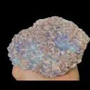 specimen video